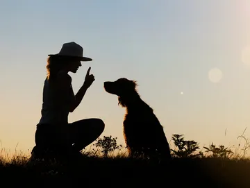Person training a dog silhouetted by a sunset | Kinzua Canine